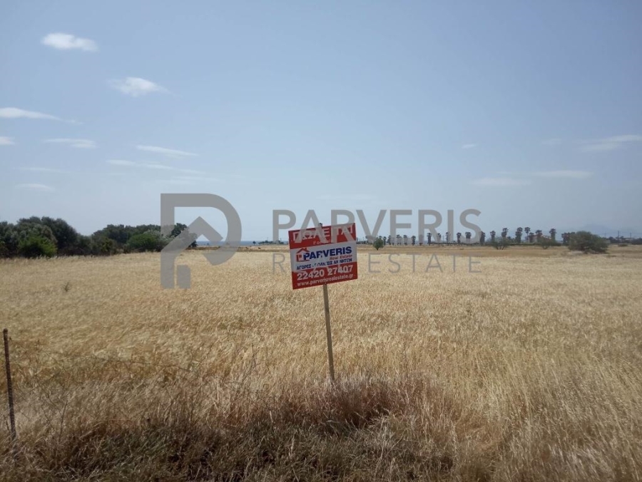 (For Sale) Land Agricultural Land  || Dodekanisa/Kos-Irakleides - 5.000 Sq.m, 50.000€ 