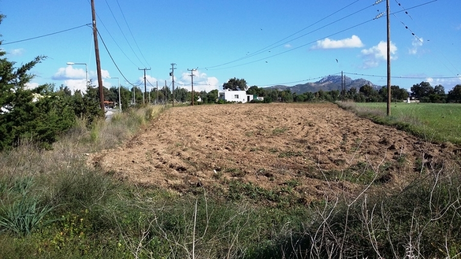(Προς Πώληση) Αξιοποιήσιμη Γη Αγροτεμάχιο || Δωδεκάνησα/Κως-Ηρακλείδες - 6.200 τ.μ, 60.000€ 