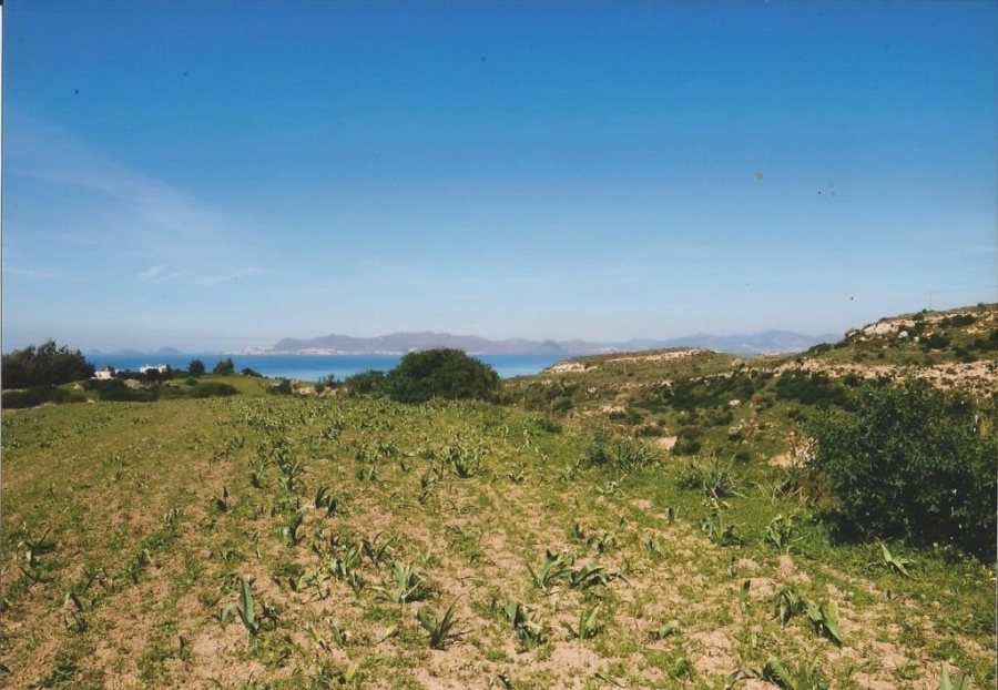 (For Sale) Land Agricultural Land  || Dodekanisa/Kos Chora - 4.150 Sq.m, 25.000€ 