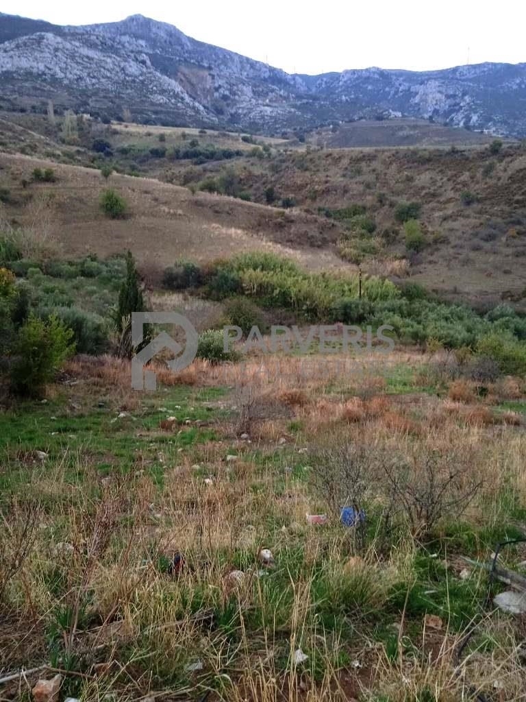(For Sale) Land Agricultural Land  || Dodekanisa/Kos-Dikaios - 5.890 Sq.m, 35.000€ 