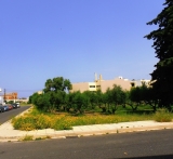 slide1 thumbnail