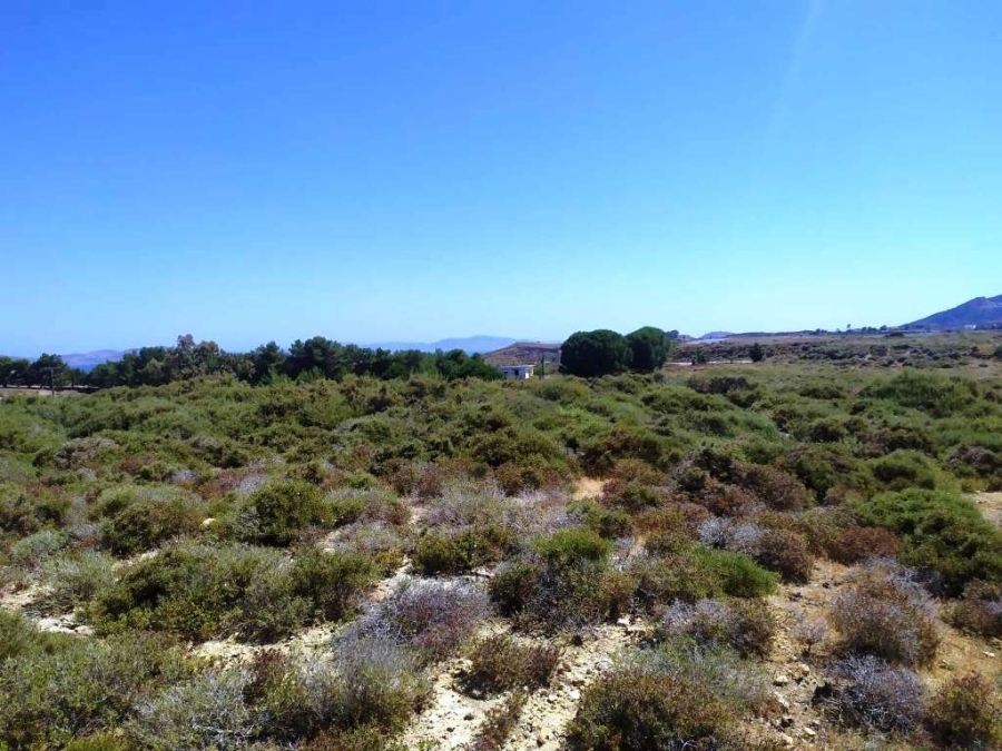 (Προς Πώληση) Αξιοποιήσιμη Γη Αγροτεμάχιο || Δωδεκάνησα/Κως-Ηρακλείδες - 34.930 τ.μ, 75.000€ 