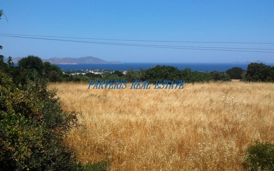 (Προς Πώληση) Αξιοποιήσιμη Γη Αγροτεμάχιο || Δωδεκάνησα/Κως Χώρα - 6.700 τ.μ, 120.000€ 