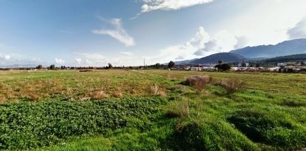 (For Sale) Land Agricultural Land  || Dodekanisa/Kos-Dikaios - 4.000 Sq.m, 55.000€ 