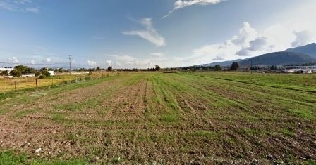 (Προς Πώληση) Αξιοποιήσιμη Γη Αγροτεμάχιο || Δωδεκάνησα/Κως-Δίκαιος - 5.500 τ.μ, 55.000€ 