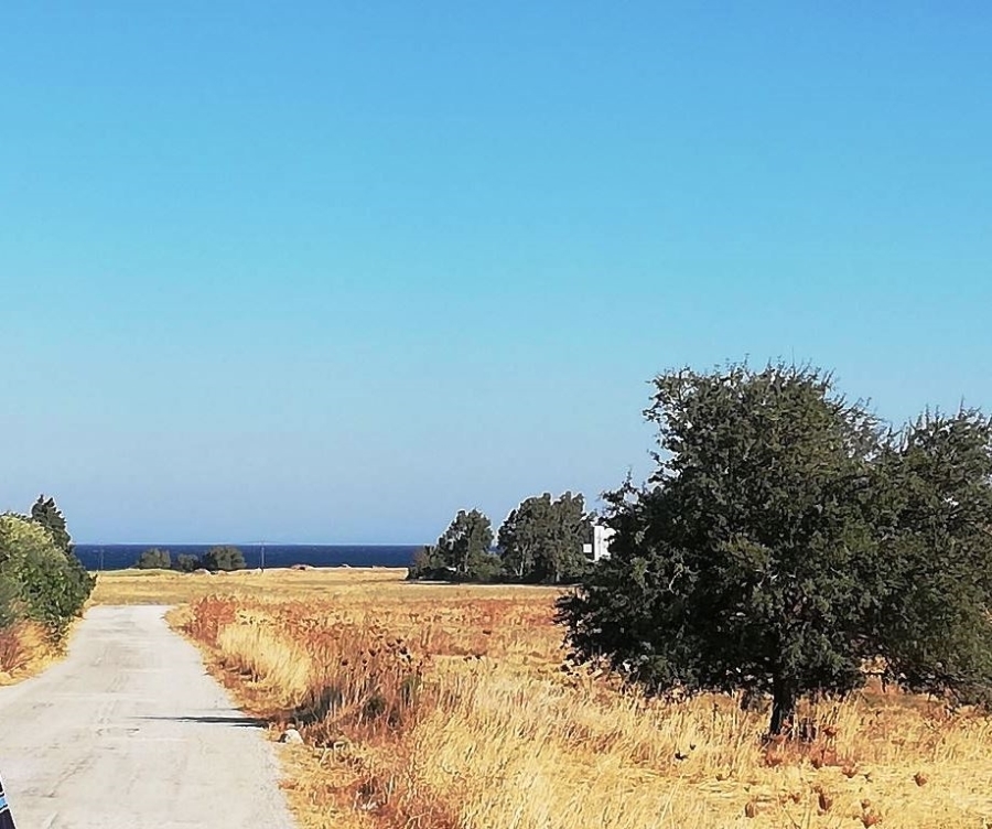 (For Sale) Land Agricultural Land  || Dodekanisa/Kos-Irakleides - 5.640 Sq.m, 60.000€ 