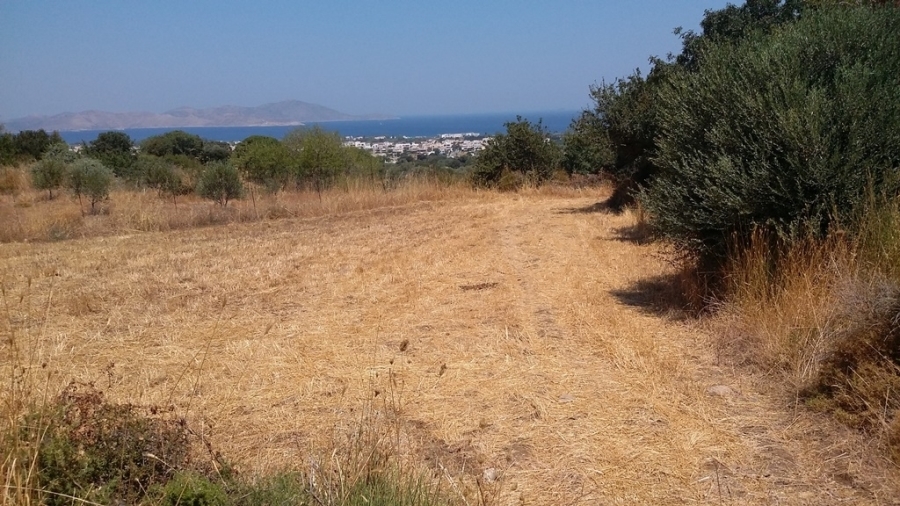 (For Sale) Land Agricultural Land  || Dodekanisa/Kos-Dikaios - 9.320 Sq.m, 95.000€ 