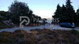 slide1 thumbnail
