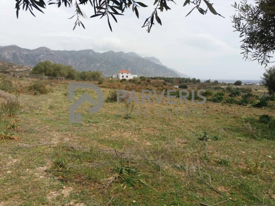 (For Sale) Land Agricultural Land  || Dodekanisa/Kos-Irakleides - 3.800 Sq.m, 42.000€ 