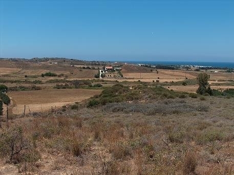 (For Sale) Land Agricultural Land  || Dodekanisa/Kos-Irakleides - 12.000 Sq.m, 90.000€ 