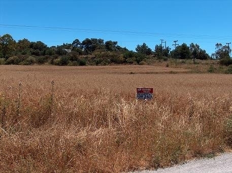 (Προς Πώληση) Αξιοποιήσιμη Γη Αγροτεμάχιο || Δωδεκάνησα/Κως-Δίκαιος - 10.000 τ.μ, 80.000€ 