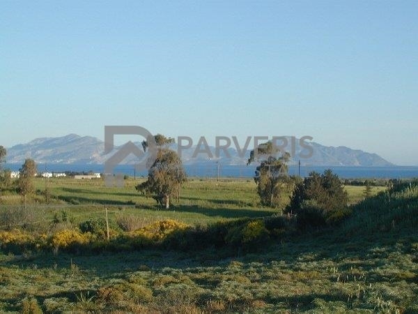 (For Sale) Land Agricultural Land  || Dodekanisa/Kos-Dikaios - 7.720 Sq.m, 60.000€ 