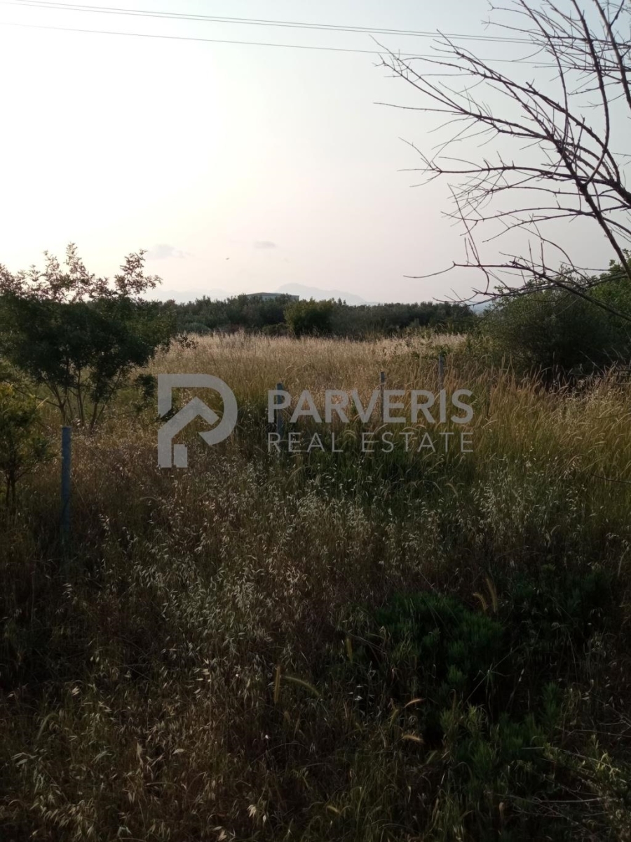 (Προς Πώληση) Αξιοποιήσιμη Γη Οικόπεδο || Δωδεκάνησα/Κως-Δίκαιος - 1.200 τ.μ, 58.000€ 