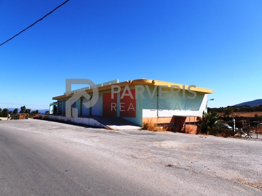 (For Sale) Commercial Industrial Area || Dodekanisa/Kos Chora - 1.167 Sq.m, 580.000€ 