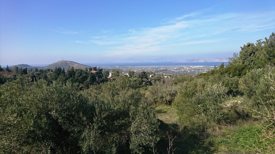 (For Sale) Land Agricultural Land  || Dodekanisa/Kos-Dikaios - 18.000 Sq.m, 82.000€ 