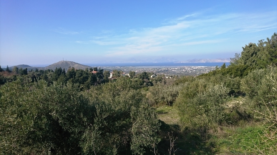 (Προς Πώληση) Αξιοποιήσιμη Γη Αγροτεμάχιο || Δωδεκάνησα/Κως-Δίκαιος - 18.000 τ.μ, 108.000€ 