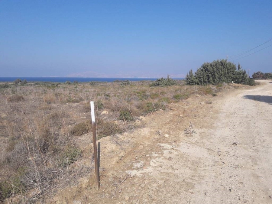 (Προς Πώληση) Αξιοποιήσιμη Γη Αγροτεμάχιο || Δωδεκάνησα/Κως-Ηρακλείδες - 37.000 τ.μ, 450.000€ 
