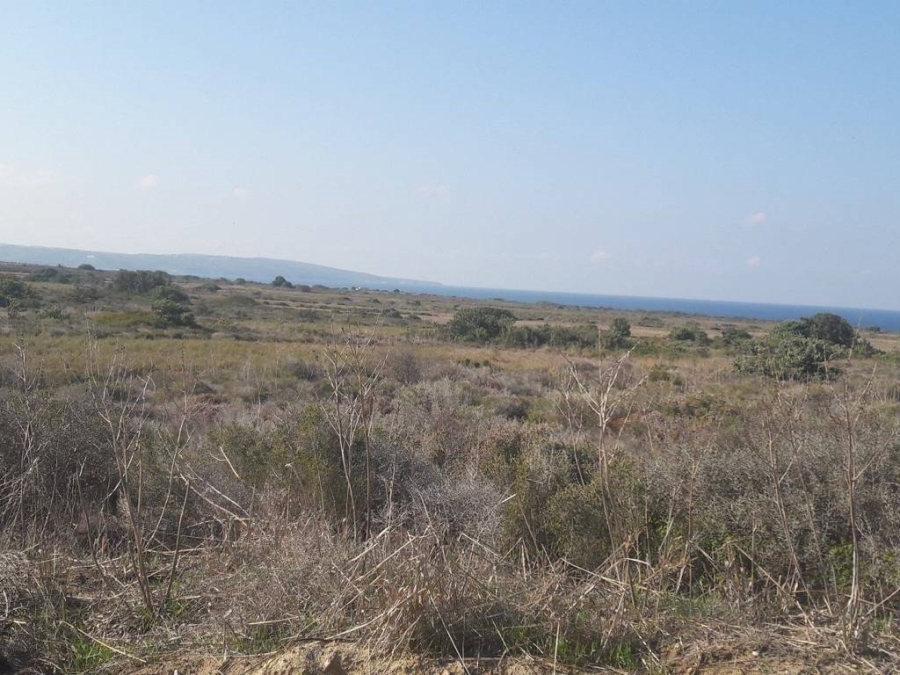 (Προς Πώληση) Αξιοποιήσιμη Γη Αγροτεμάχιο || Δωδεκάνησα/Κως-Ηρακλείδες - 14.400 τ.μ, 90.000€ 
