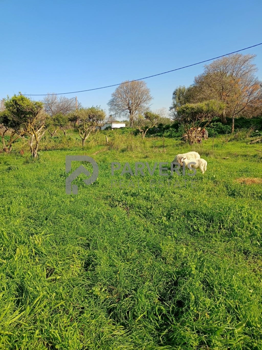 (For Sale) Land Plot || Dodekanisa/Kos Chora - 500 Sq.m, 150.000€ 