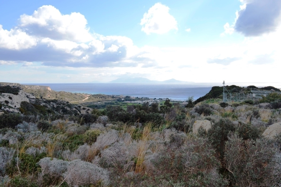 (For Sale) Land Agricultural Land  || Dodekanisa/Kos-Irakleides - 8.700 Sq.m, 90.000€ 