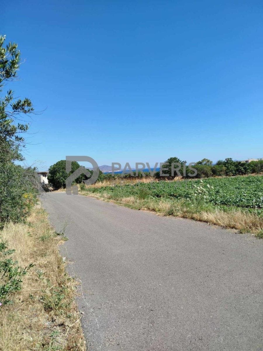(For Sale) Land Agricultural Land  || Dodekanisa/Kos-Dikaios - 7.600 Sq.m, 158.000€ 