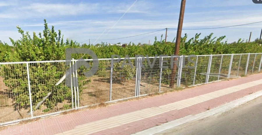 (Προς Πώληση) Αξιοποιήσιμη Γη Αγροτεμάχιο || Δωδεκάνησα/Κως-Δίκαιος - 6.000 τ.μ, 55.000€ 