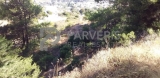slide1 thumbnail