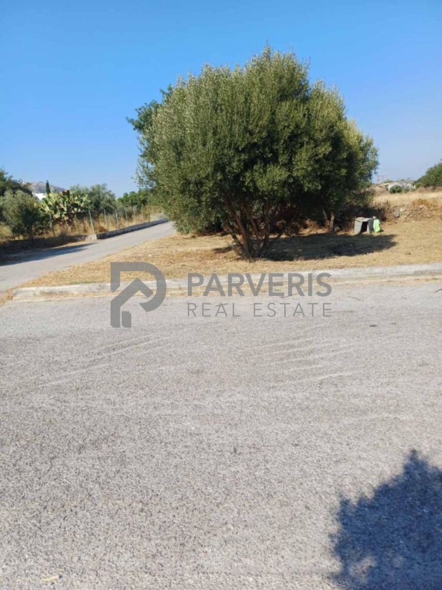 (For Sale) Land Plot || Dodekanisa/Kos-Dikaios - 1.000 Sq.m, 25.000€ 