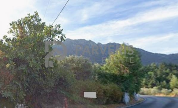 (Προς Πώληση) Αξιοποιήσιμη Γη Οικόπεδο || Δωδεκάνησα/Κως-Δίκαιος - 770 τ.μ, 105.000€ 