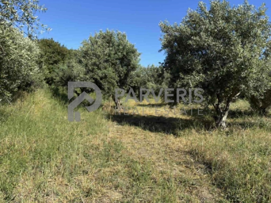 (Προς Πώληση) Αξιοποιήσιμη Γη Οικόπεδο || Δωδεκάνησα/Κως Χώρα - 315 τ.μ, 50.000€ 