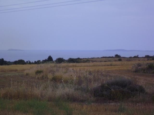 (For Sale) Land Agricultural Land  || Dodekanisa/Kos-Irakleides - 16.000 Sq.m, 75.000€ 