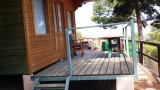 slide1 thumbnail