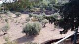 slide1 thumbnail